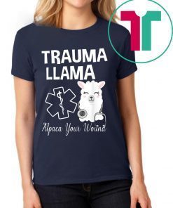 Ministry Of Trauma Llama Alpaca Your Wound Llama Lover T-Shirt