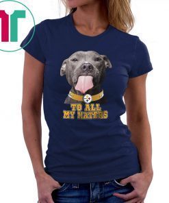 Pitbull steelers to all my haters shirt