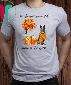 Australian Cattle It’s The Most Wonderful Time Of The Year Fall Autumn Maple Leaf Shirt