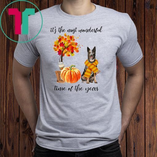 Australian Cattle It’s The Most Wonderful Time Of The Year Fall Autumn Maple Leaf Shirt