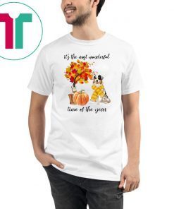 Australian Shepherd It’s The Most Wonderful Time Of The Year Fall Autumn Maple Leaf Shirts