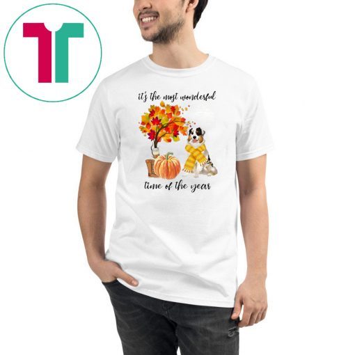 Australian Shepherd It’s The Most Wonderful Time Of The Year Fall Autumn Maple Leaf Shirts