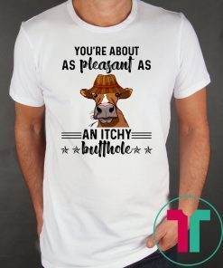 Cow you're about as pleasant as an itchy butthole shirt