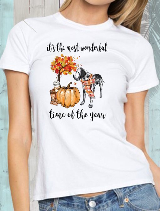 Dalmatian it’s the most wonderful time of the year shirt