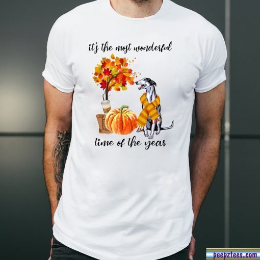 Greyhound It’s The Most Wonderful Time Of The Year Fall Autumn Maple Leaf Shirt
