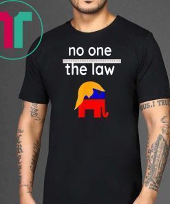 No One is Above the Law Trump Political Fun & Serious T-Shirt For Mens Womens