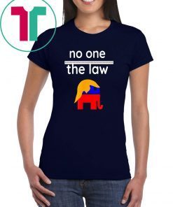 No One is Above the Law Trump Political Fun & Serious T-Shirt For Mens Womens