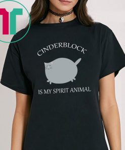 Cinderblock Cat is my spirit animal t-shirt