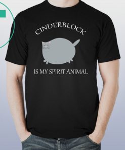 Cinderblock Cat is my spirit animal t-shirt