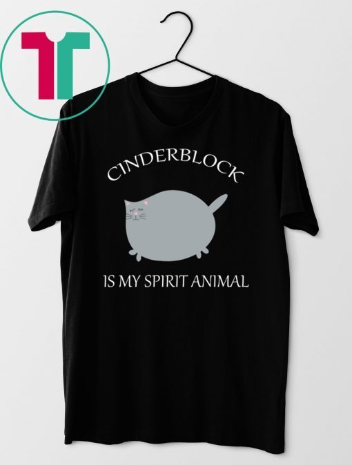 Cinderblock Cat is my spirit animal t-shirt