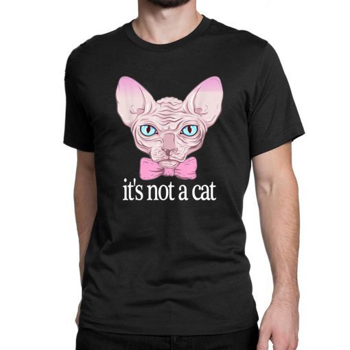 Friends Quotes Shirt It’s Not a Cat Rachel Sphynx cat Shirt