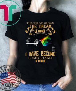 Pink Floyd I have become comfortably numb shirt