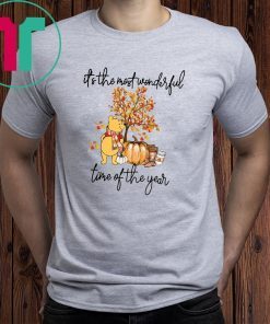 Pooh pumpkin it's the most wonderful time of the year Shirt