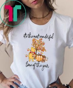 Pooh pumpkin it's the most wonderful time of the year Shirt