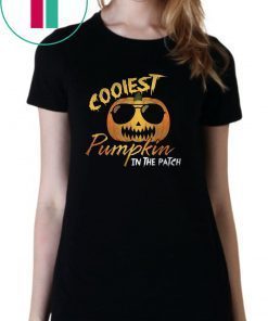Vintage Coolest Pumpkin In the Patch Halloween Costume T-Shirt
