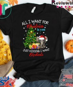 All I want for Christmas is you Just kidding I want Elephants T-Shirt