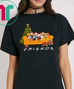 Friends Mickey Disney Family Christmas Xmas Shirt