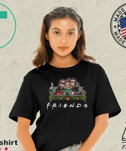 Harry Potter Hermione And Ron Weasley Christmas Friends T-Shirt