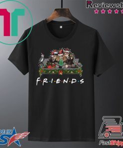 Harry Potter Hermione And Ron Weasley Christmas Friends T-Shirt