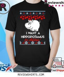 I Want A Hippopotamus For Christmas Xmas Tee Shirt