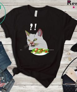 Yelling At Confused Cat At Dinner Table meme T-Shirt