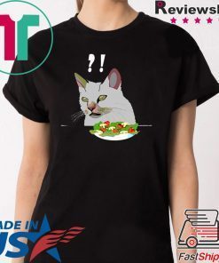 Yelling At Confused Cat At Dinner Table meme T-Shirt