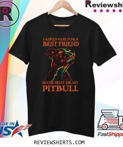 I Asked God For A Best Friend So He Sent Me My Pitbull Shirt