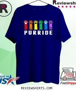 Purride Paw Cat Kitten LGBT Gay Les Pride Rainbow Vintage T-Shirt