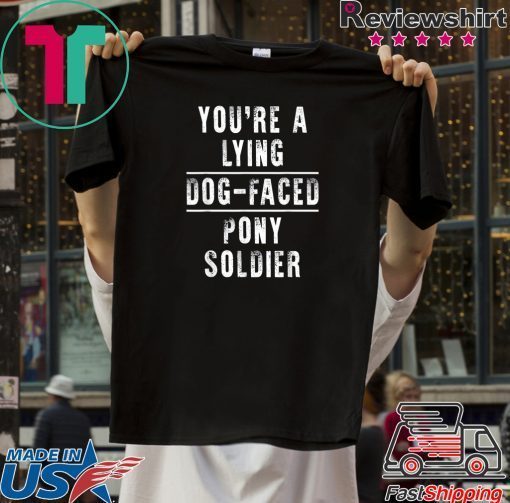 You're a Lying Dog-Faced Pony Soldier Joe Biden Cool Gift T-Shirt