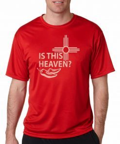 IS THIS HEAVEN ? - NO, IT'S A DONALD TRUMP 2020 RALLY T-SHIRT