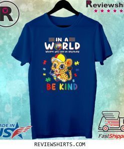 In A World Where You Can Be Anything Cheetah Be Kind Autism Tee Shirt