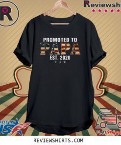 Soon To Be Pappy Est 2020 American Flag New Dad 2020 Tee Shirt