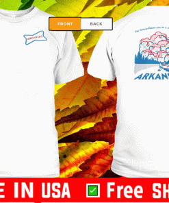 THE BEAUTY LEAVES YOU AT A SAUCE FOR WORDS ARKANSAS SHIRT