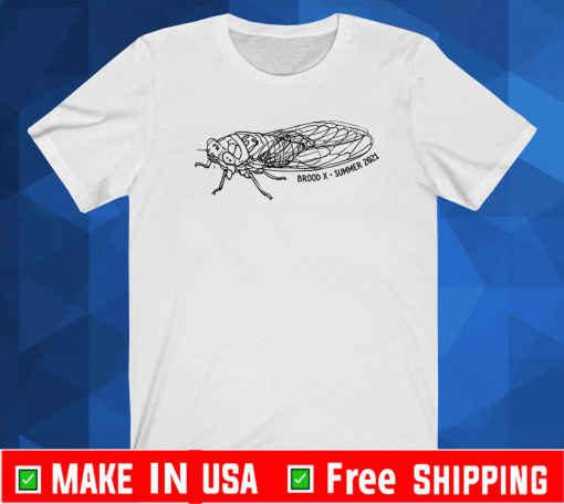 Cicadas Brood X 2021 Summer T-Shirt