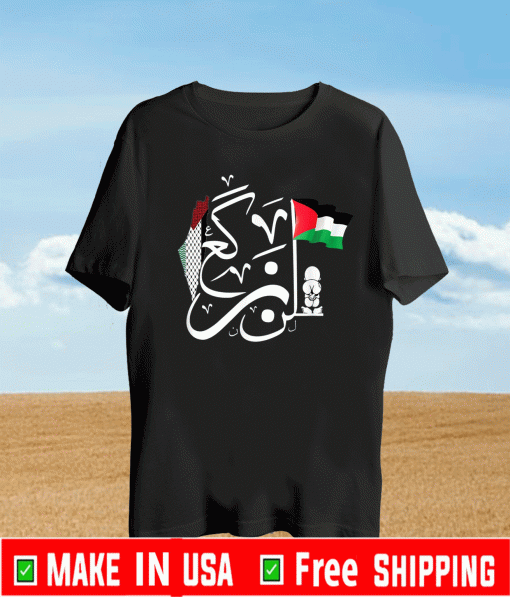 Free Palestine Palestinian Flag Cool Shirt