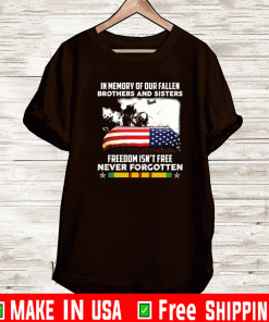 In memory of our fallen brothers and sisters freedom isn’t free never forgotten shirt