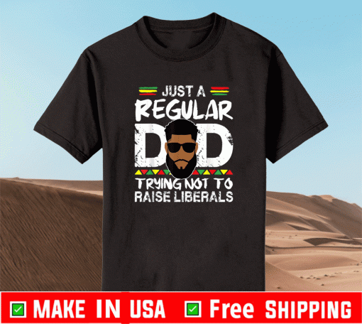 Just A Regular Dad Trying Not To Raise Liberals Father Day T-Shirt