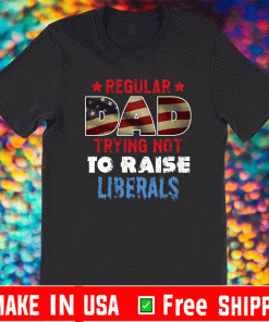 Regular Dad Trying Not to Raise a Liberal ARegular Dad Trying Not to Raise a Liberal American Flag T-Shirtmerican Flag T-Shirt