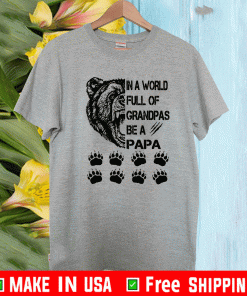 In A World Full Of Grandpas Be A Papa T-Shirt