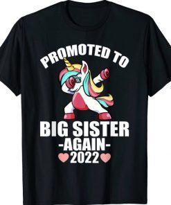 Promoted To Big Sister Again 2022 Shirt, Big Sister Again Unisex T-Shirt