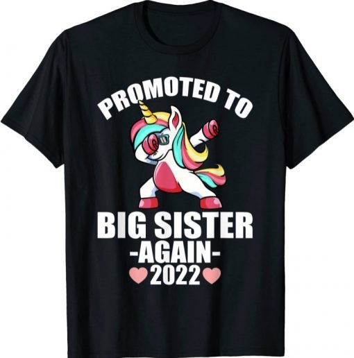 Promoted To Big Sister Again 2022 Shirt, Big Sister Again Unisex T-Shirt