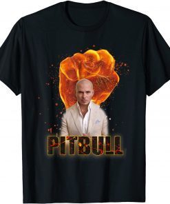 Official Mr Worldwide Pitbull Singer Merch For Men Youth Women T-Shirt