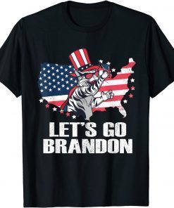 Classic Let's Go Brandon Cat Conservative US Flag Funny Gift Idea T-Shirt