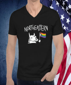 Northeastern Hoosky Pride Gift T-Shirt