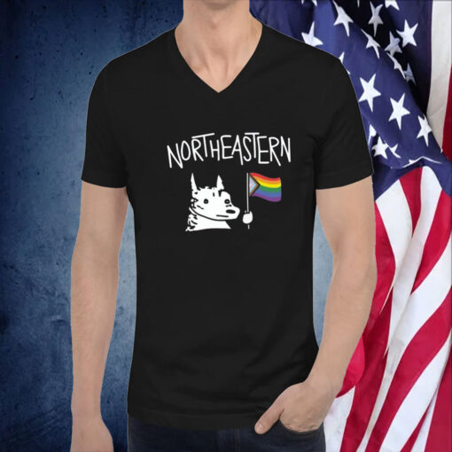 Northeastern Hoosky Pride Gift T-Shirt