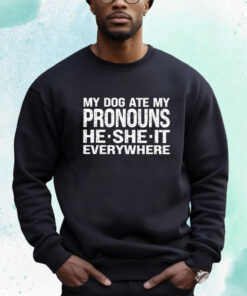 My Dog Ate My Pronouns He She It Everywhere T-Shirt