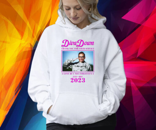 Diva Down Thank You For Your Service George Santos Hoodie