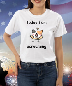 Today I Am Screaming Shirts
