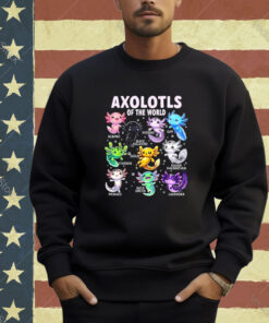 Axolotl Kawaii Axolotls of the World Axolotl Animals T-Shirt