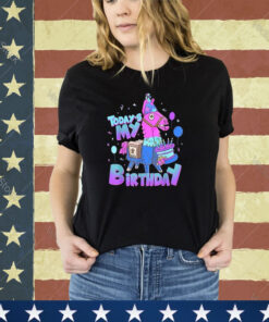 Todays My Birthday Llama Birthday Boy Kids Youth Llama Decor T-Shirt